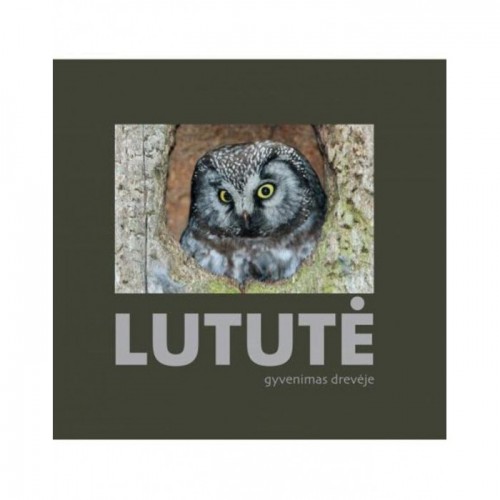 LUTUTĖ